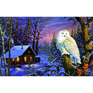 1000 pc Night Watch Owl Puzzle - Owl Aisle