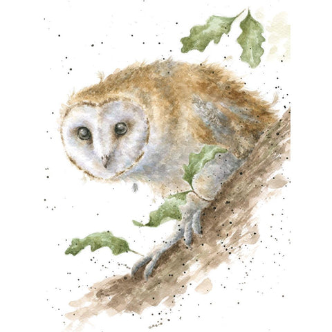 Barn Owl Greeting Card