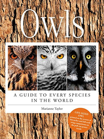 Owls: A Guide to Every Species in the World by Marianna Taylor - Owl Aisle